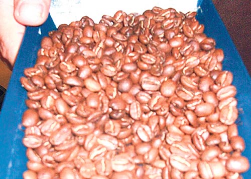 <p>Precio. El precio por quintal del grano alcanza los 300 balboas.</p>