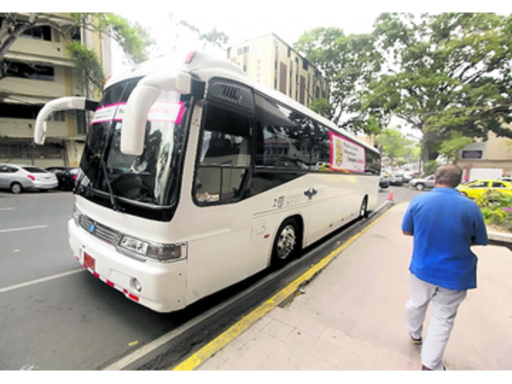 Los buses municipales esperan autorización para circular.(Carlos Lemos)