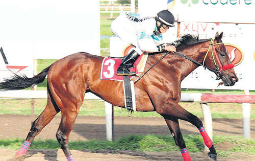 <p>Ganador. Azukitar se impone en el Jorge I. Ameglio.</p>