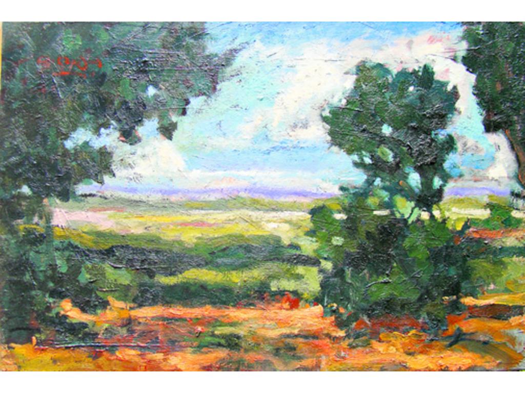 Es parte de la propuesta del pintor Carlos Rojas.