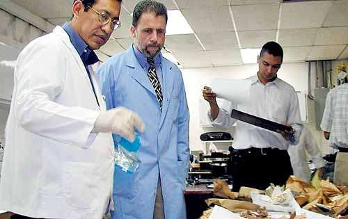 <p>Dejé de trabajar con los grupos indígenas de Guatemala, desde la antropología biológica, porque me cansé de ver a niños morir. </p>