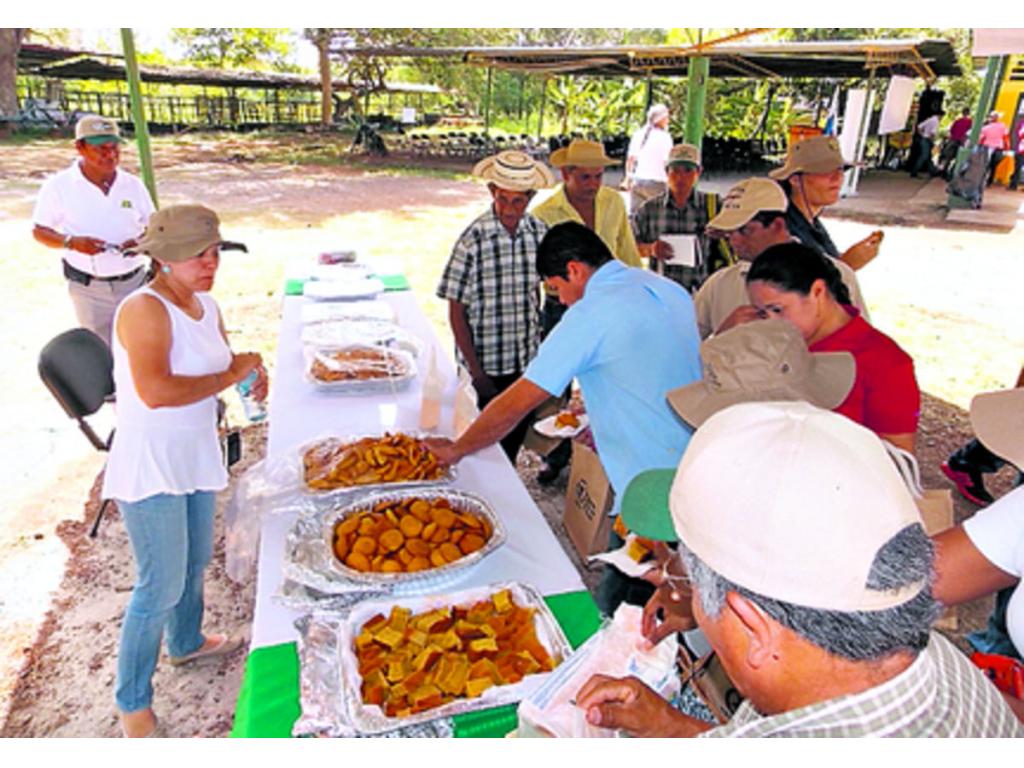 Con el camote se pueden preparar varios tipos de recetas.