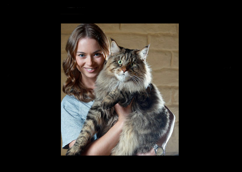 Con su dueña. Foto Web.<br>