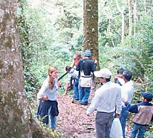 <p>Gira. Muchos turistas visitan el lugar.</p>
