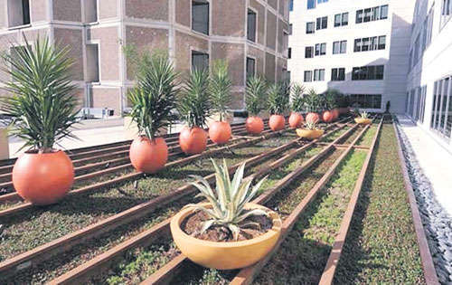 <p>Sharp Memorial. Es el hospital más hermoso del mundo.</p>