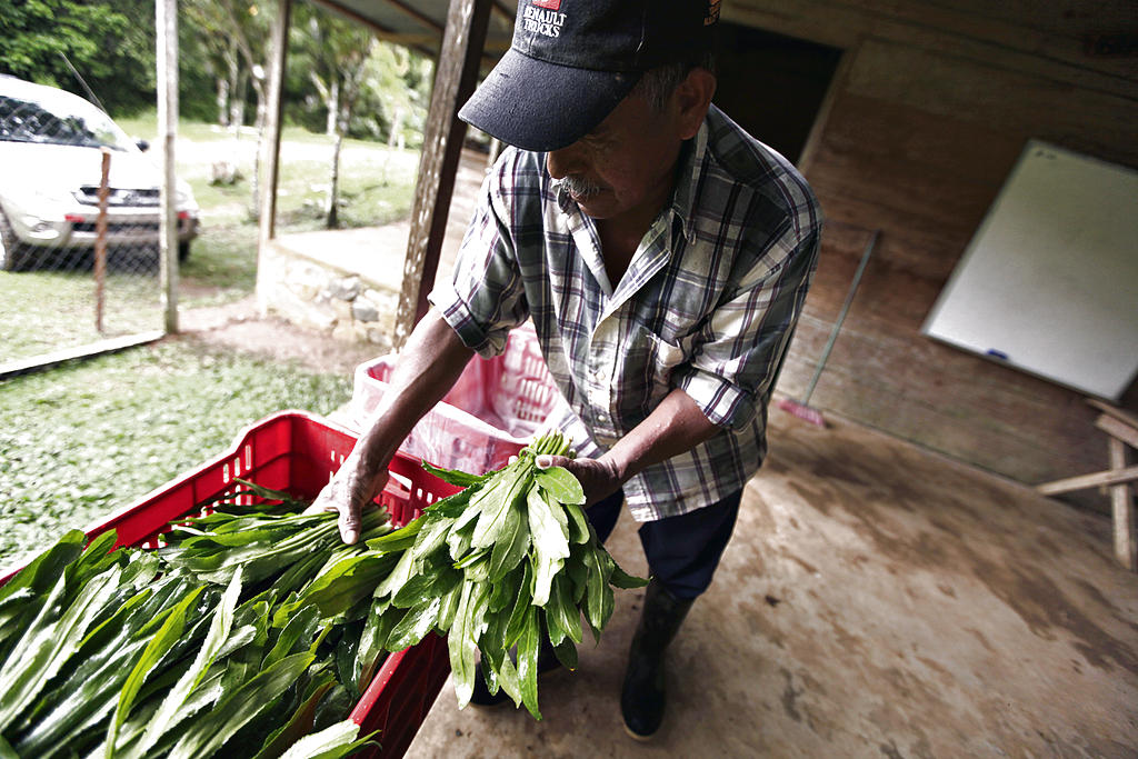 Empacado. El producto, listo para sacarlo y venderlo(Carlos Lemos)