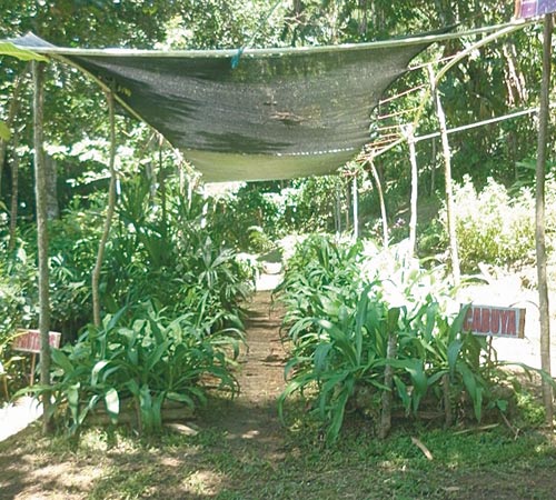 <p>Materia. Viveros con las plantaciones.</p>