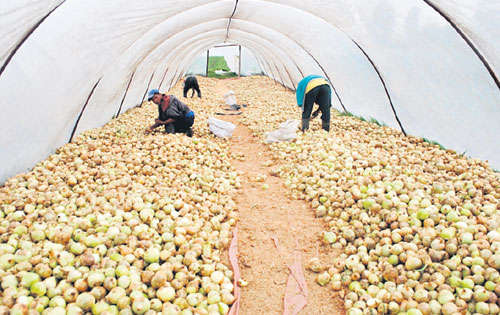 <p>Daños. Muchos productos no llegaron a los mercados.</p>