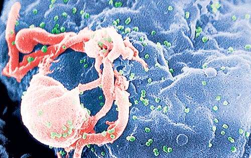 <p>El virus ataca sin piedad.</p>
