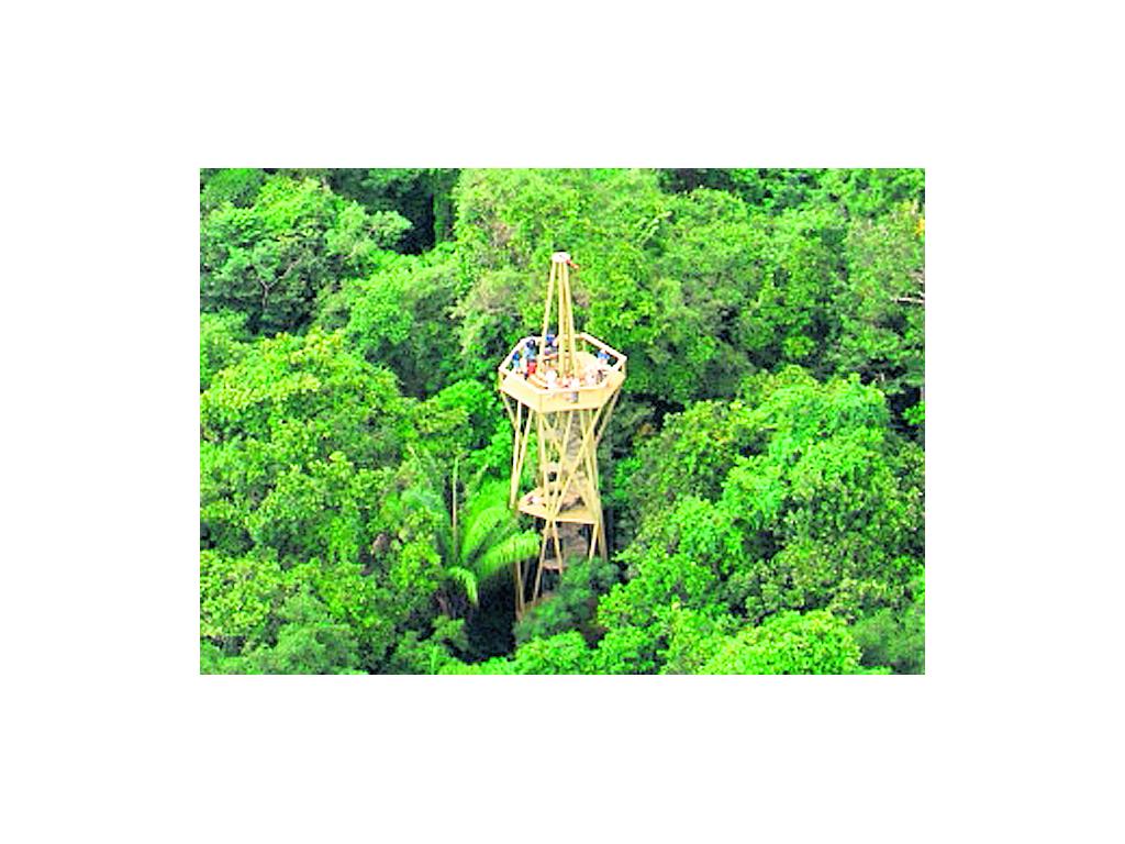 La torre de observación con unos 40 metros de altura, colocada en medio del bosque tropical, tiene un costo de entrada de $30 para extranjeros y $10 para residentes.()