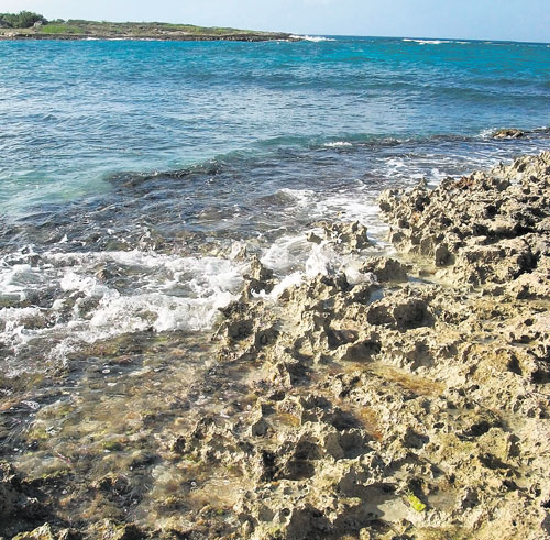 <p>Aguas cristalinas. Anguila posee 33 hermosas playas. </p>