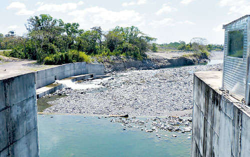 <p>Inquietud. Evidentes los daños ambientales.</p>