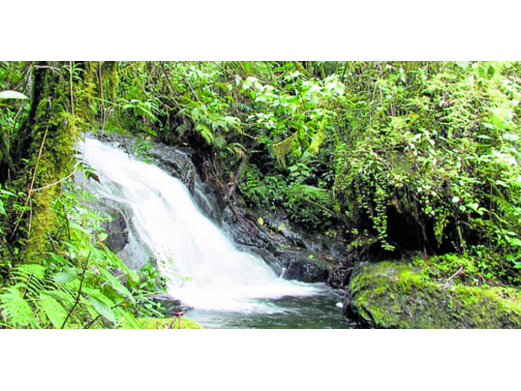 Hermosas cascadas para relajarse lejos del bullicio y rodeado de la belleza natural de Chiriquí.