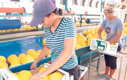 Guatemala espera la asistencia de al menos 104 potenciales compradores. Foto/Ilustrativa<br>