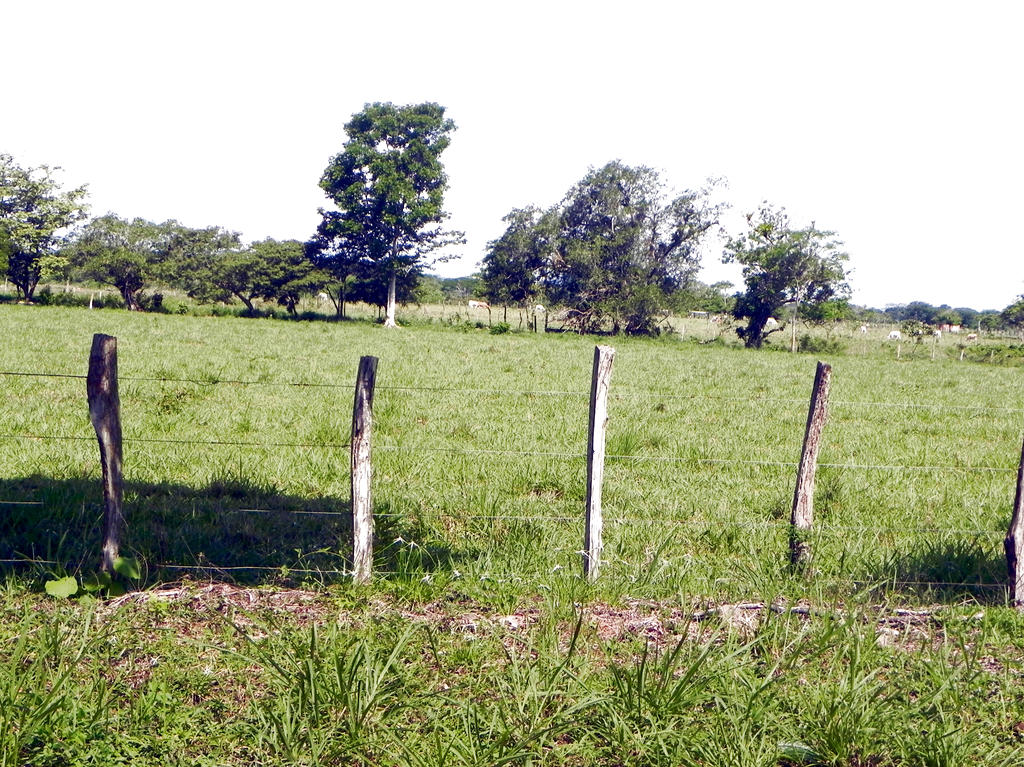 Terrenos. Posible ubicación de la nueva cárcel.(Mayra Madrid)