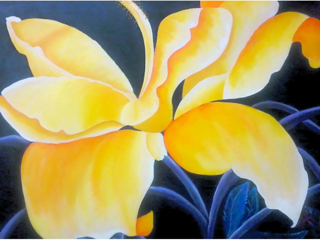 La luz danza en cada pétalo de esta flor.( Cortesía.)
