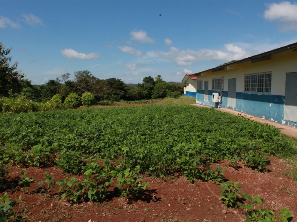 Instalaciones del Colegio Agroforestal de Calobre en la provincia de Veraguas. Foto/Presidencia de la República.<br>