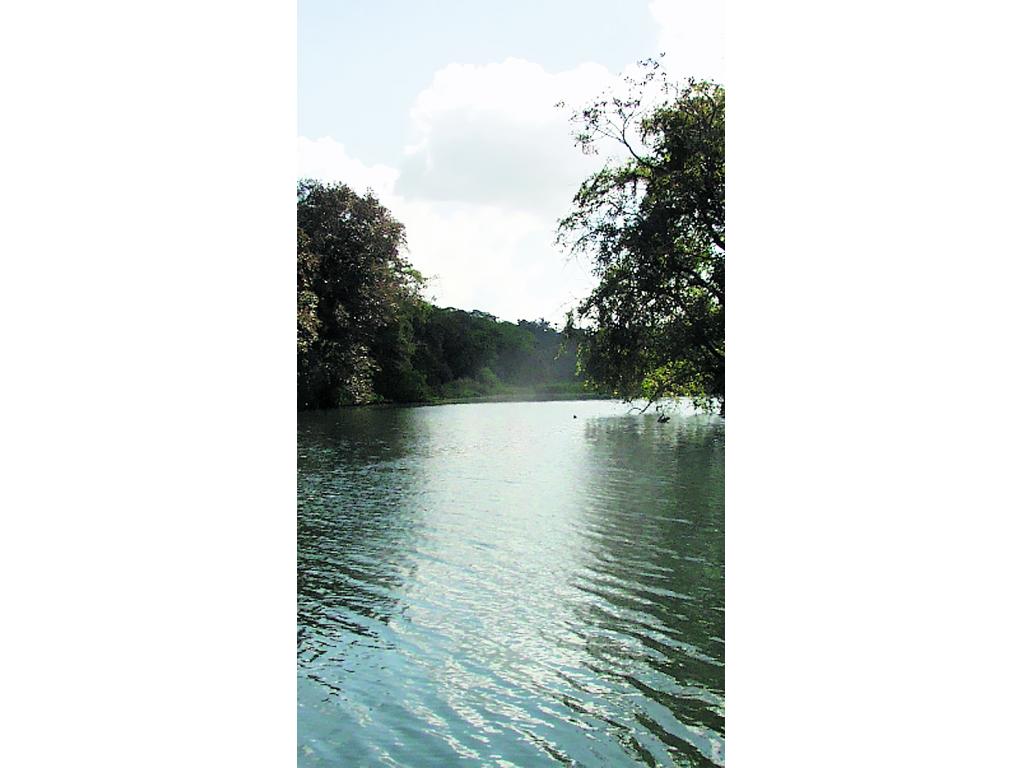 Río Chagres(Archivo)