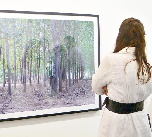 <p>Disfrute. Con calma, viandante observa pieza de arte.</p>
