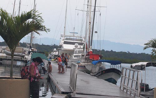 <p>Red Frog en Isla Bastimento.</p>