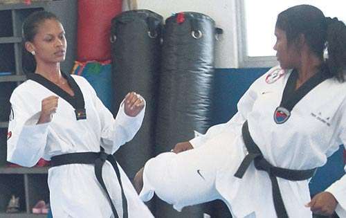 <p></p><p></p><p>Recursos. En el taekwondo utilizan los puños y piernas.</p>
