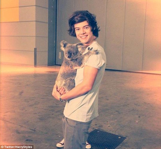 Harry publica foto en Twitter con un koala<br>