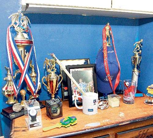 <p>Bien. Los trofeos de Armandito Cooper.</p>