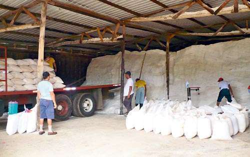 <p>Esperanza. Muchas familias santeñas se beneficiarán.</p>