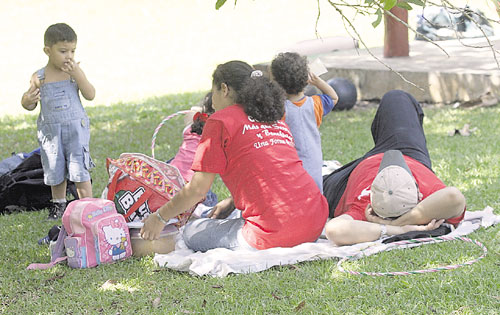 <p>Sana distracción. Descansan, comparten y se relajan.</p>