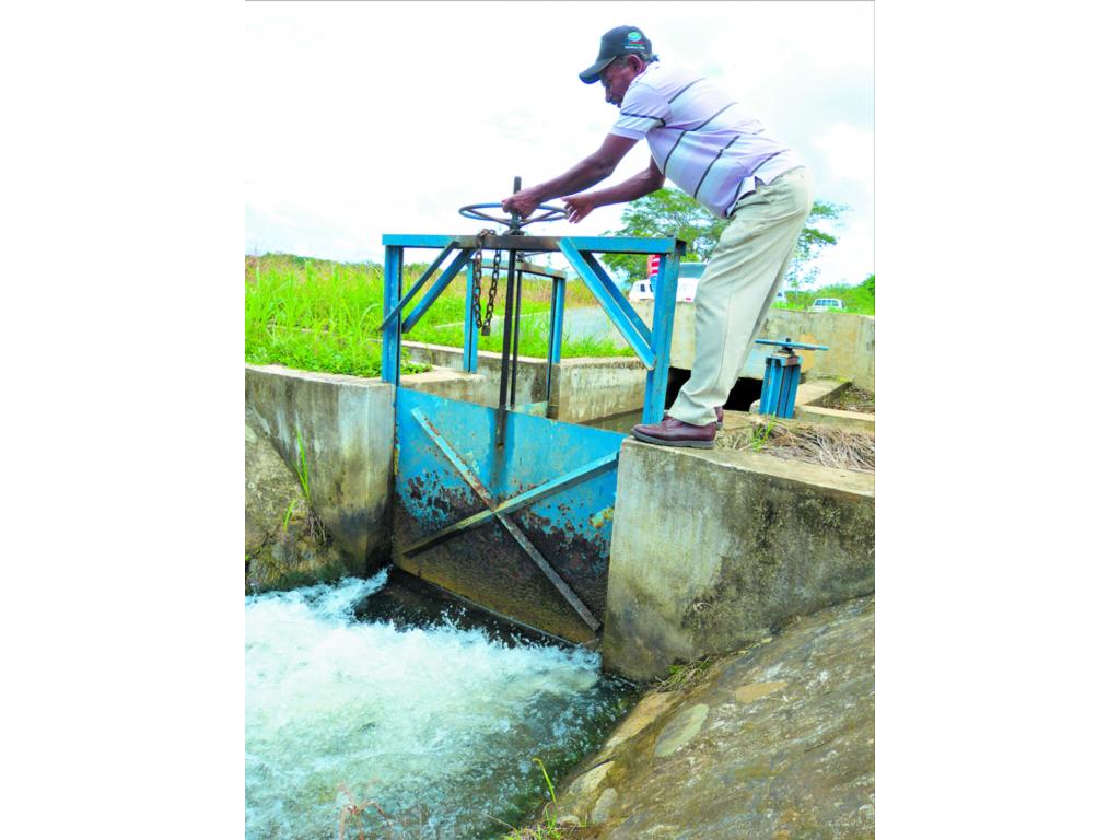 Canaleros están encargados de regular el paso del agua a la parcela.(Cortesía)
