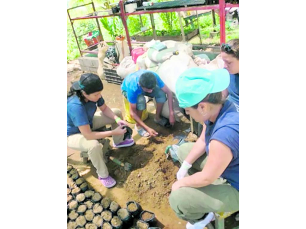 Siembra de diversas plantas es parte de las actividades.(Cortesía)