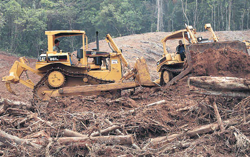 <p>Hábitat. Las especies se vieron obligadas a desaparecer. </p>
