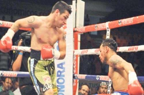 <p>Pleito. El combate fue favorable para el mexicano.</p>