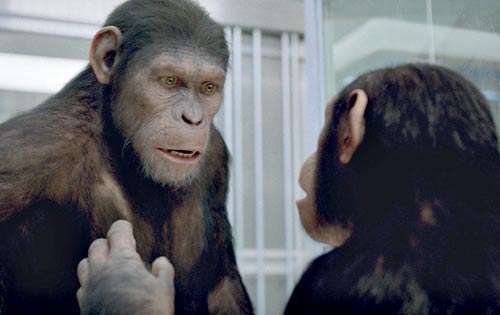 <p>Rescate. Liberar a su especie no será una tarea fácil ni pacífica.</p>