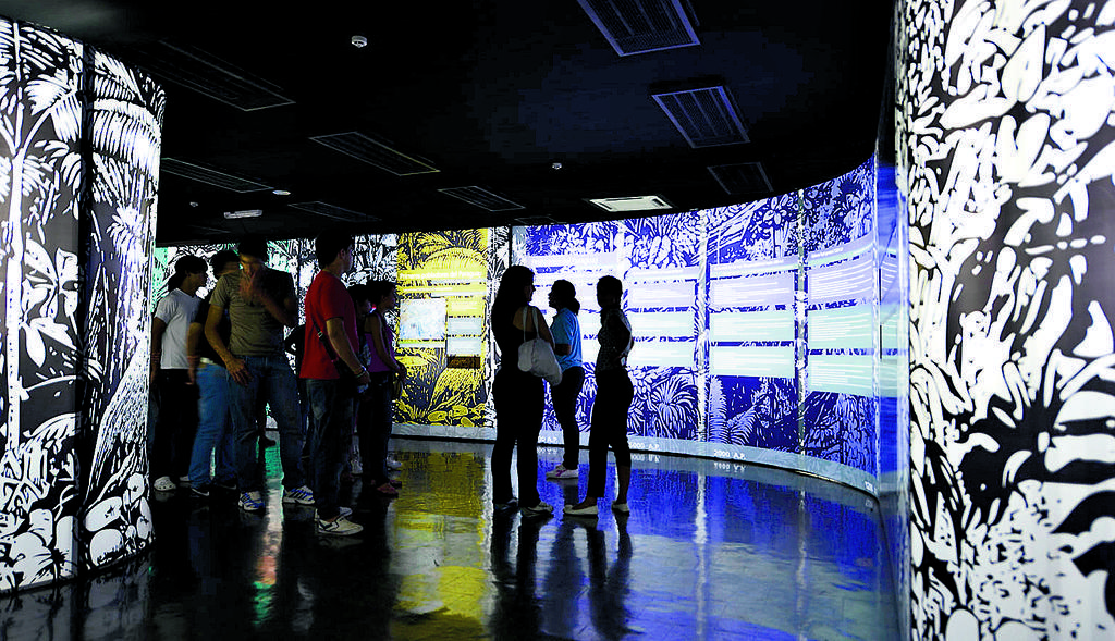 Museo. Conoce un poco más de los ancestros paraguayos.()