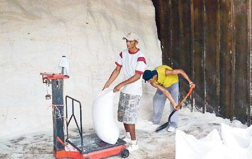 <p>Consumo. La producción santeña alcanza el 60%.</p>
