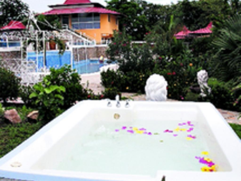 Disfruta con tu pareja las cálidas aguas de este jacuzzi en medio de un jardín.