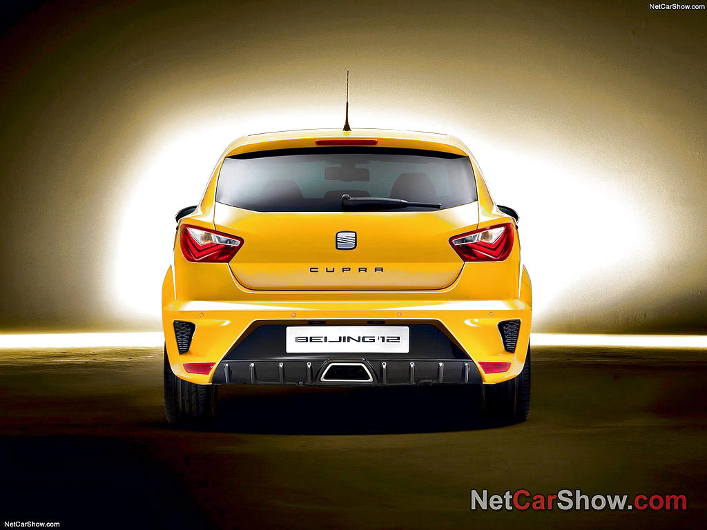 Seal Ibiza Cupra Concept()