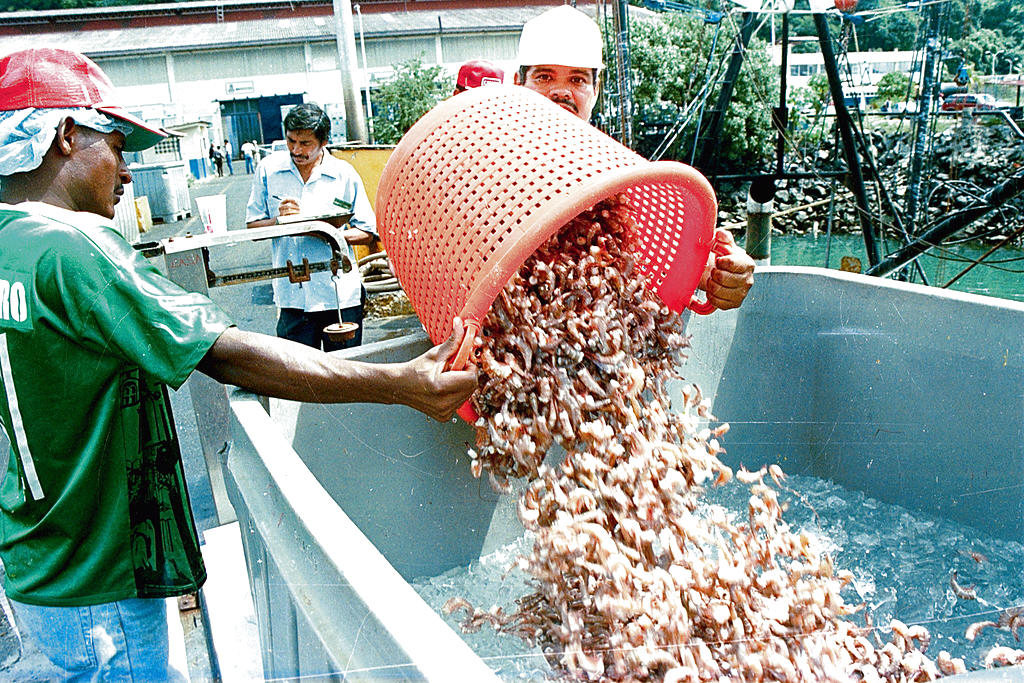 Mercado. Los empresarios quieren exportar más.(ARCHIVO)