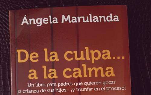<p>Fachada de la publicación.</p>