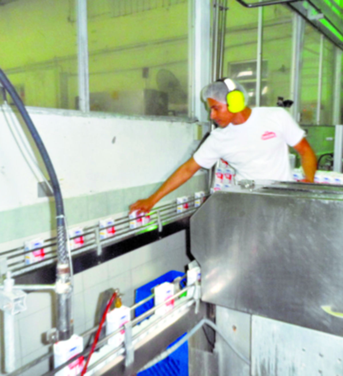 Dos Pinos es la nueva empresa en el mercado lácteo panameño.(José Vásquez.)