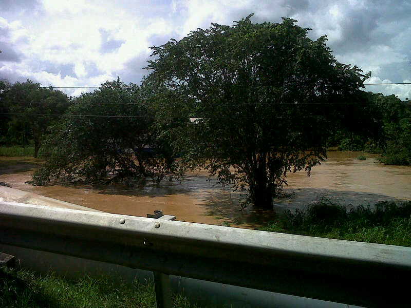 Foto/Jilma Aguilar<br>