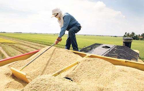 <p>Arroz. Es uno de los rubros preferidos.</p>