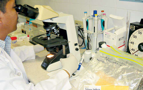 <p>Centro. Clínica de la Pareja Infértil del HST. </p>