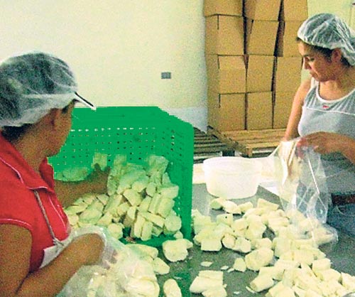 <p>Venta. Procesan yucas para empacarlas.</p>