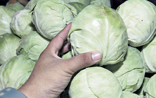 <p>Los mercados están pidiendo productos de calidad, las magulladuras no son aceptadas, explican los productores.</p>