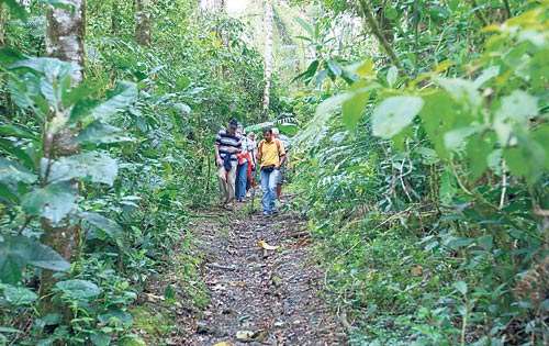 <p>Recorrido. Visitantes europeos en el Parque La Amistad.</p>