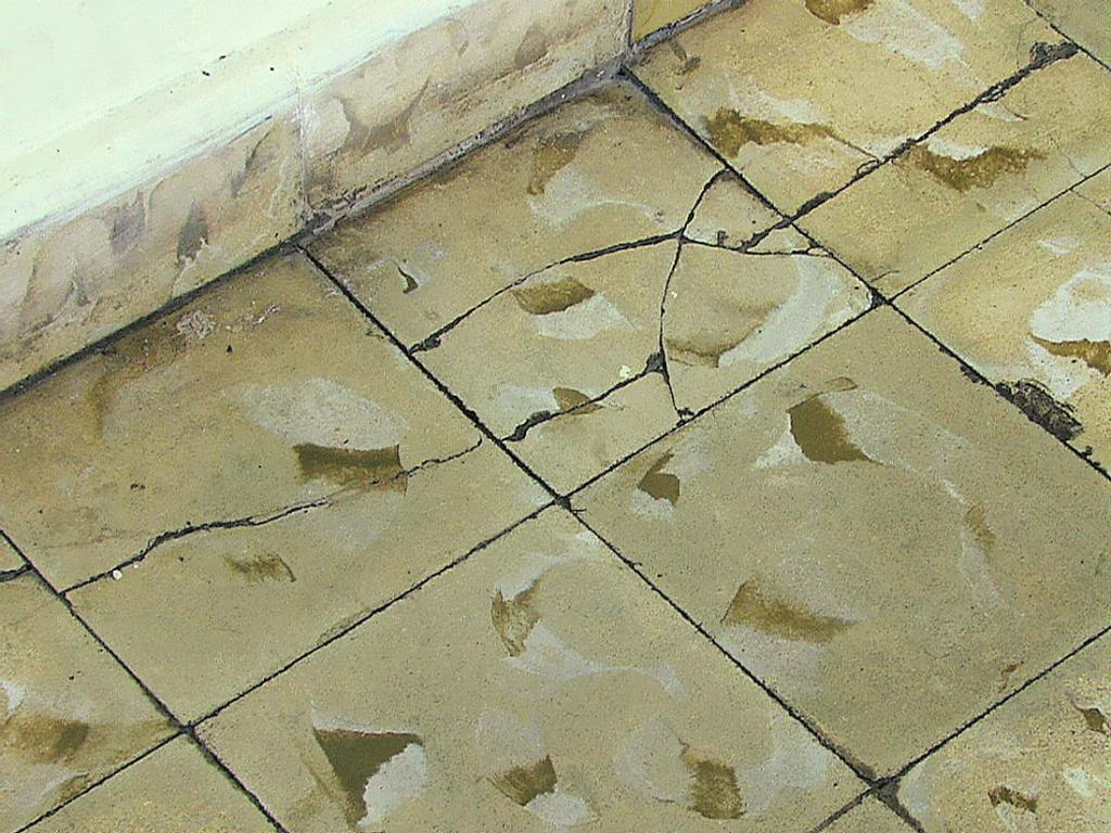 Piso. Muchas fisuras en la estructura.(LEONARDO MACHUCA)