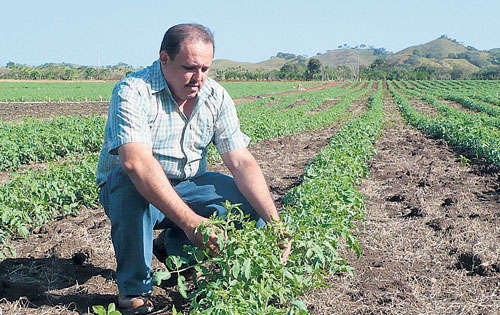 <p>Mejoras. Malos caminos impiden sacar los productos.</p>