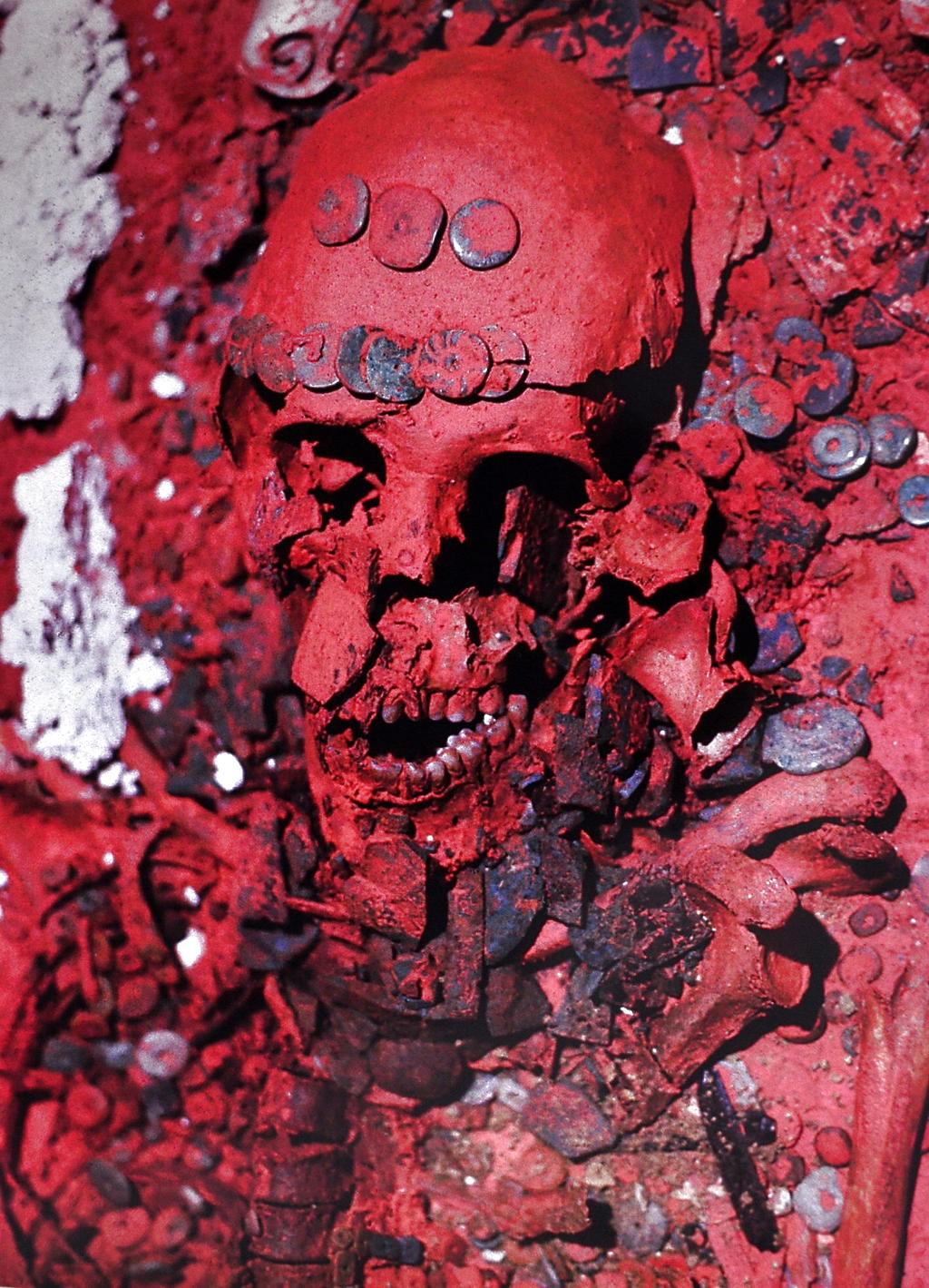 Restos de la Reina Roja. Foto/EFE<br>